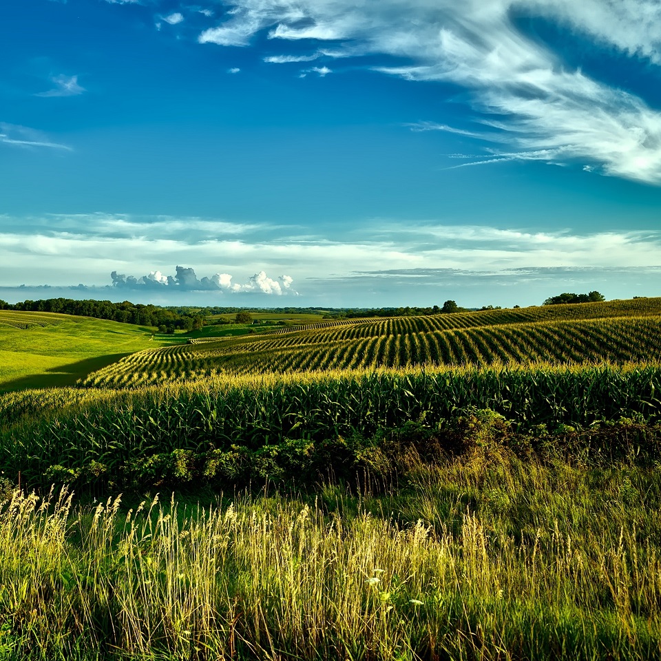 Smallholder Farmer Support