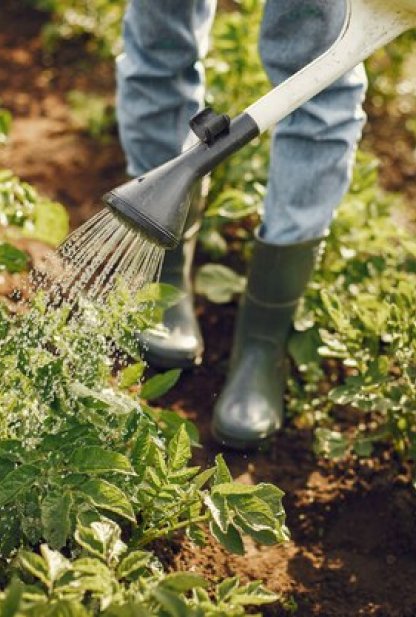 Dattern Agricultural Modern Farming Techniques