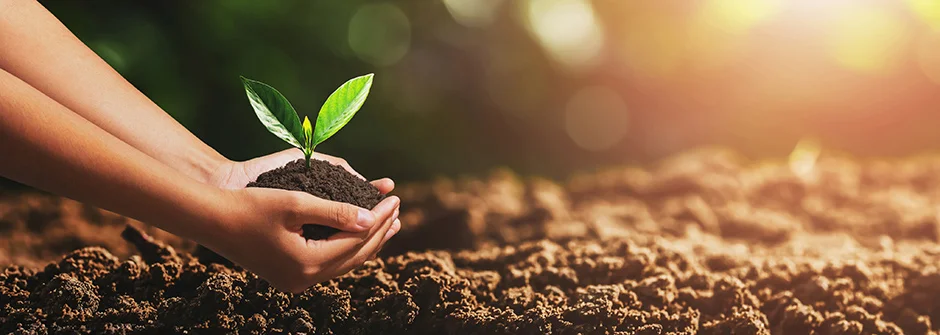 Expert agricultural consultation