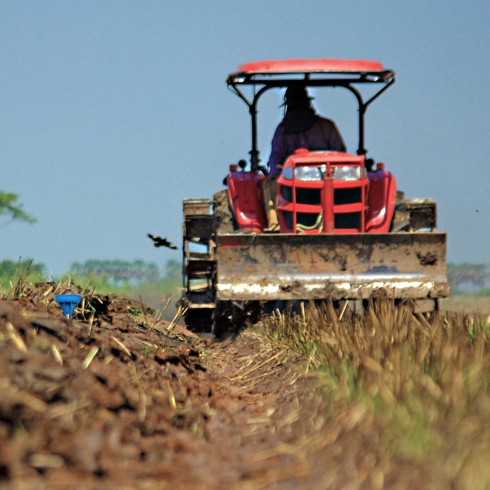 Dairy Farm Modernization